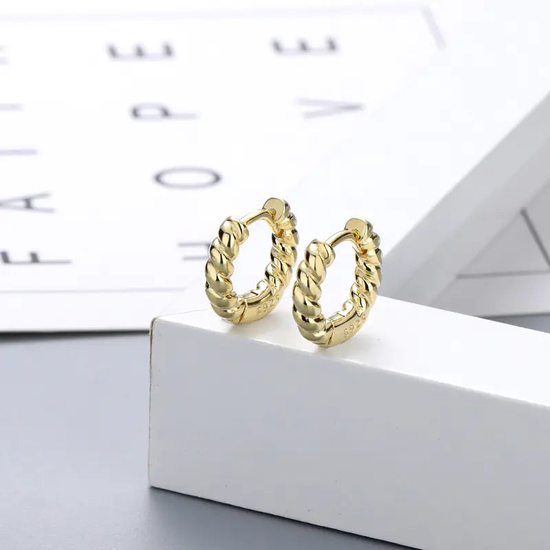 S925 Silver Twisted Rope Earrings - Trendy Design