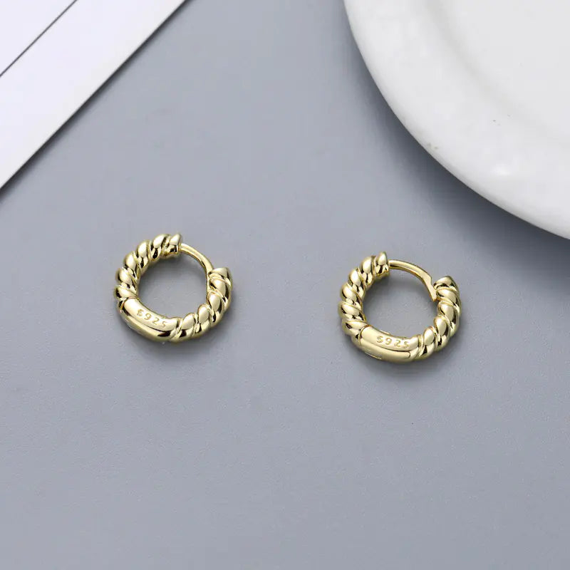 S925 Silver Twisted Rope Earrings - Trendy Design